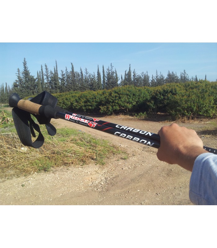 מקל הליכה Trekking Pole Carbon