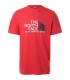 copy of חולצת טי שרט 100% כותנה Coordinates Tee