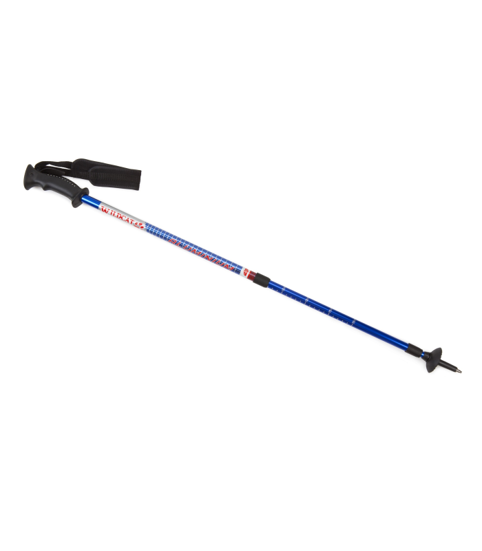 מקל הליכה WALKING POLE